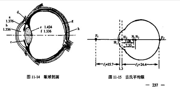 搞懂教育信息咨询包括哪三类服务，别再被装